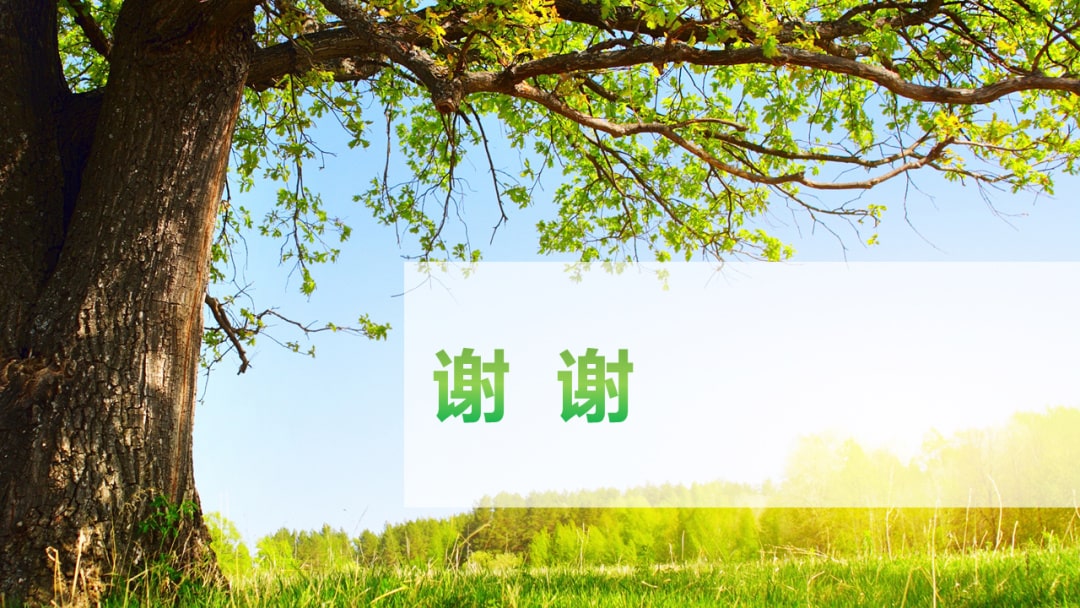 幼儿园大班社会教案：大树医生