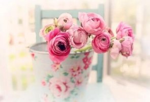 闲暇时期，读一读历史书籍