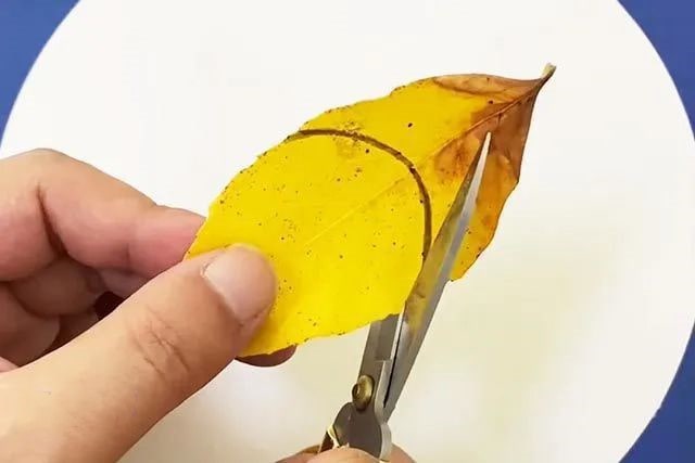 秋天手工制作：树叶剪贴画小蜜蜂(步骤图解)