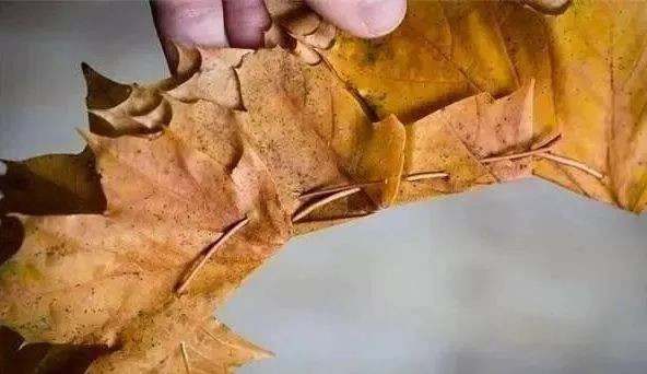 10个培养孩子创造力的秋季户外游戏