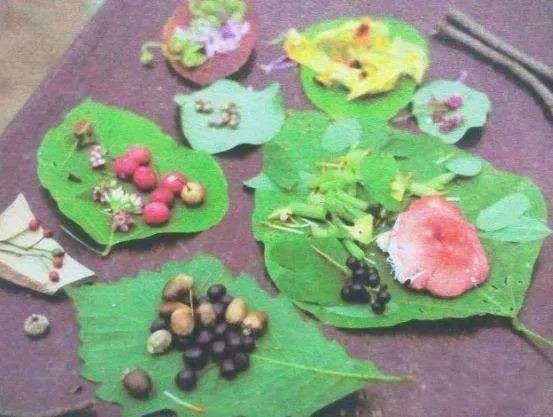 10个培养孩子创造力的秋季户外游戏