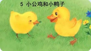 小公鸡和小鸭子课文