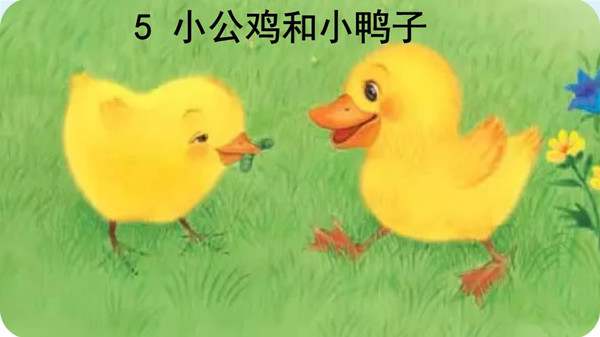 小公鸡和小鸭子课文