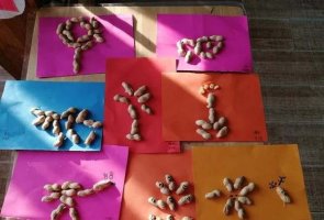 幼儿园大班美术教案《花生壳大变身》