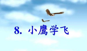 小鹰学飞课文原文
