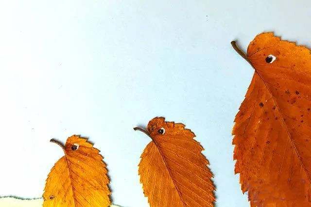 树叶手工粘贴画教程：简单好看的小鸟一家(步骤图解)