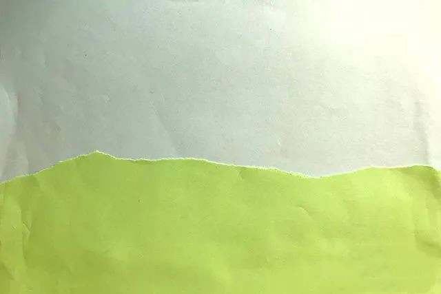 树叶手工粘贴画教程：简单好看的小鸟一家(步骤图解)