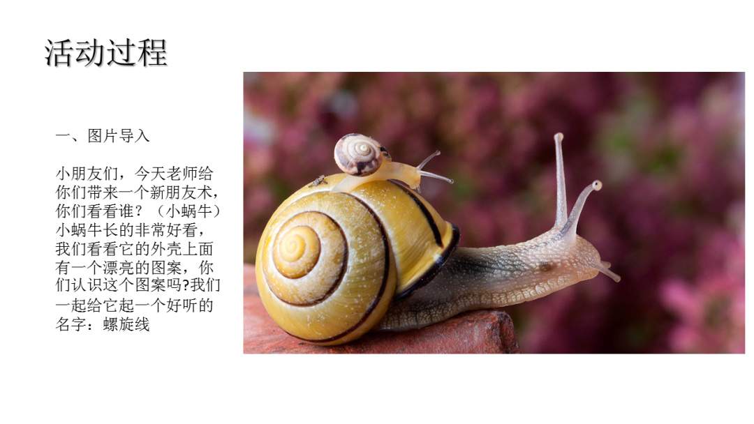 幼儿园大班美术教案：美丽的螺旋纹