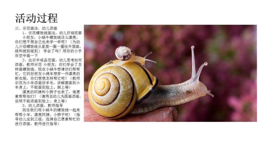 幼儿园大班美术教案：美丽的螺旋纹