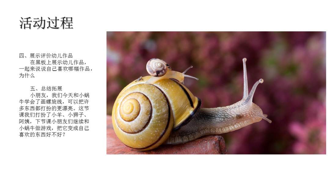 幼儿园大班美术教案：美丽的螺旋纹