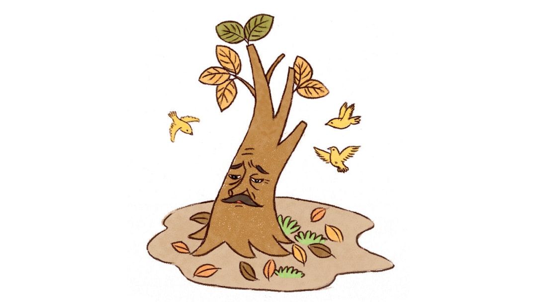 幼儿园大班语言教案：鸟树