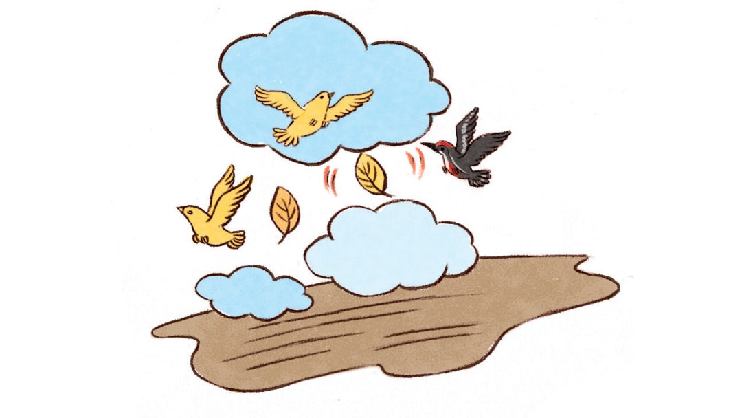 幼儿园大班语言教案：鸟树