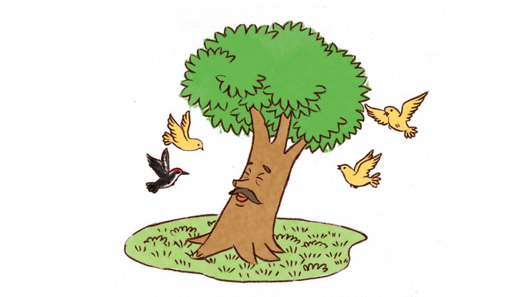 幼儿园大班语言教案：鸟树