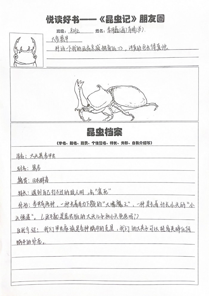 昆虫记昆虫档案手抄报