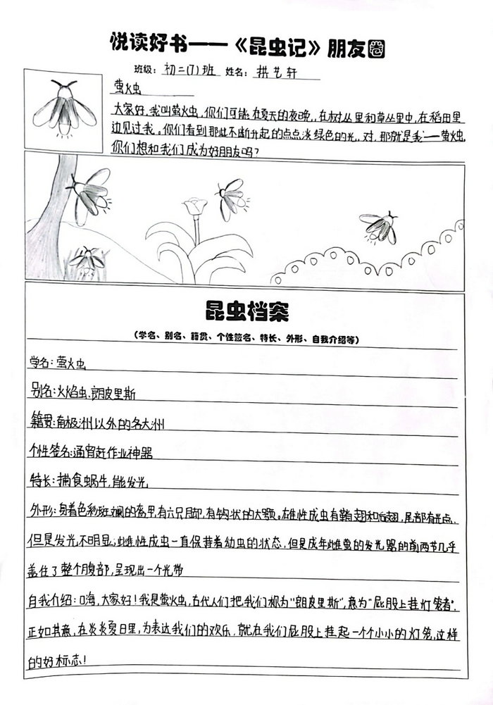 昆虫记昆虫档案手抄报