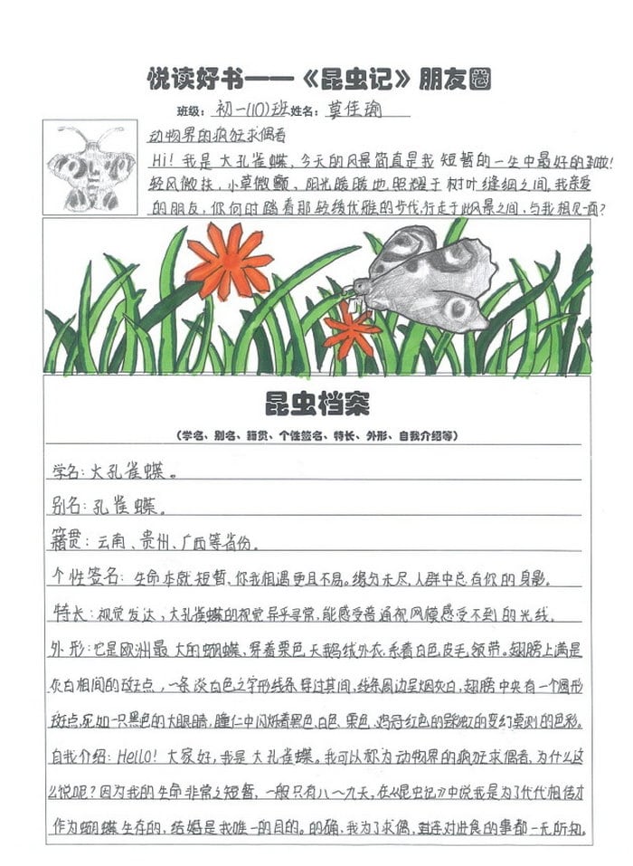 昆虫记昆虫档案手抄报