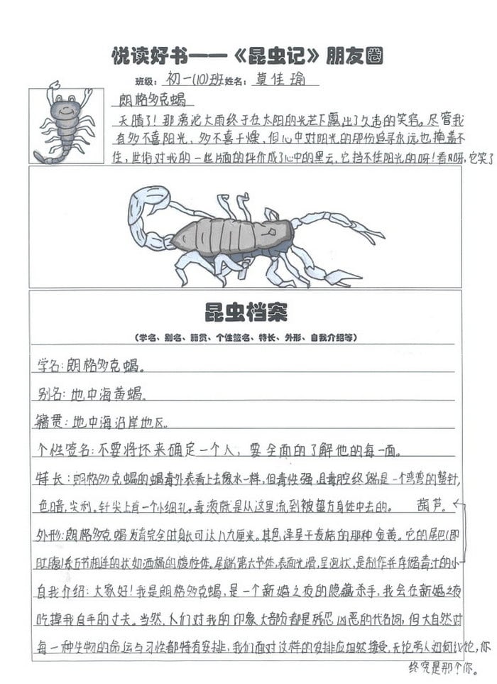 昆虫记昆虫档案手抄报