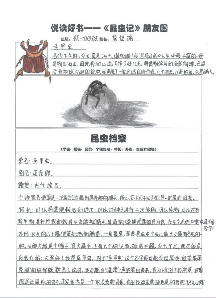 昆虫记昆虫档案手抄报