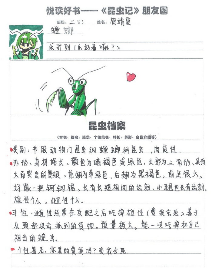 昆虫记昆虫档案手抄报