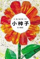 盲校《小种子》教案教学设计 