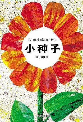 盲校《小种子》教案教学设计 