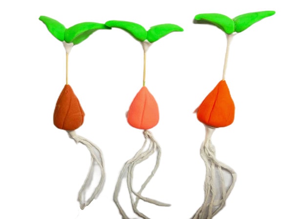 盲校《小种子》教案教学设计 