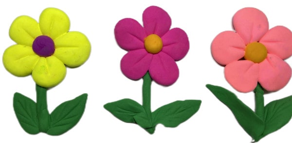 盲校《小种子》教案教学设计 