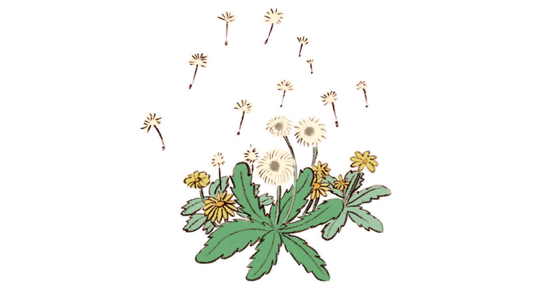 幼儿园大班社会教案：你喜欢风吗？