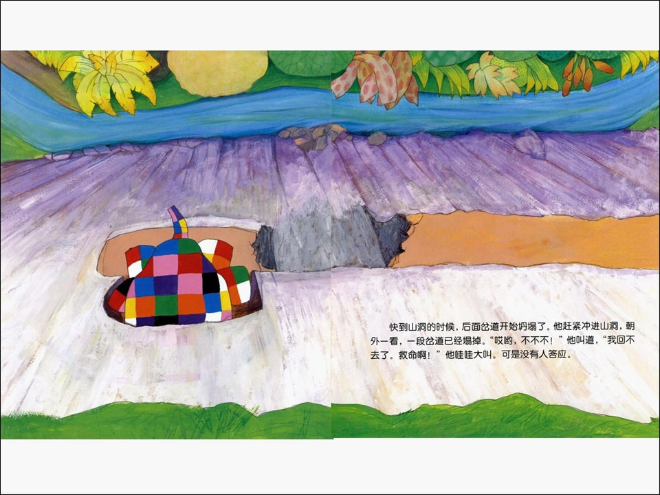 《花格子大象艾玛系列4-艾玛和蝴蝶》