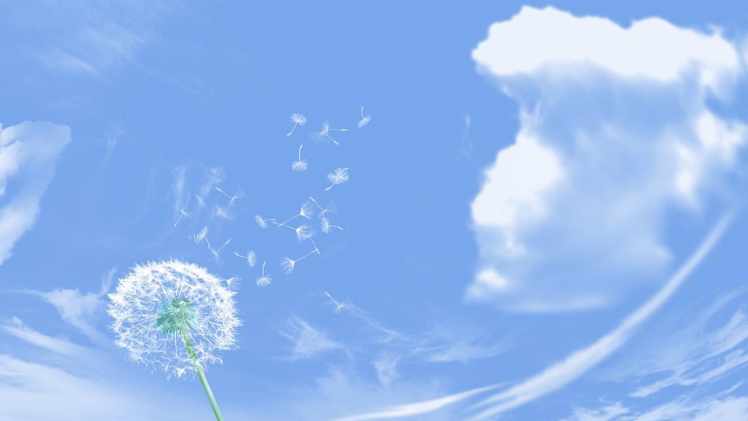 幼儿园大班语言教案：风