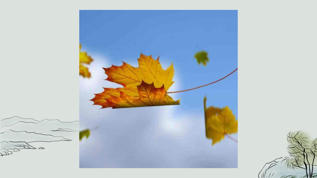 幼儿园大班语言教案：风