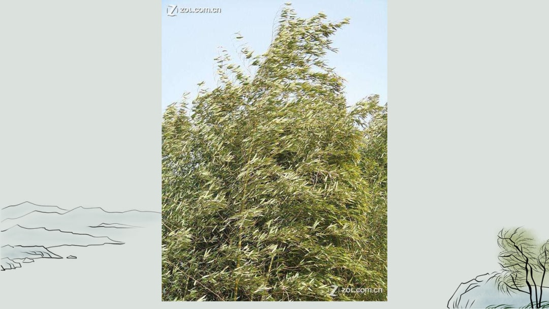 幼儿园大班语言教案：风