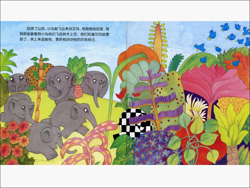 《花格子大象艾玛系列6-艾玛与风》