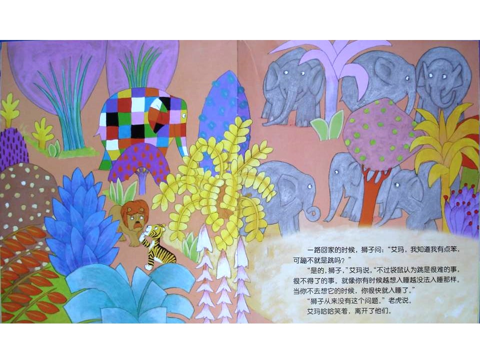 《花格子大象艾玛系列7-艾玛遇见怪家伙》