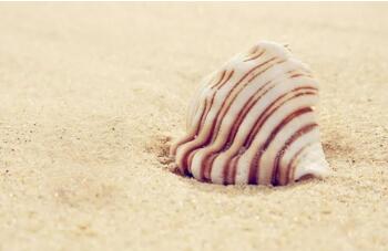 书单 | 这七本书，帮助大家了解这个社会