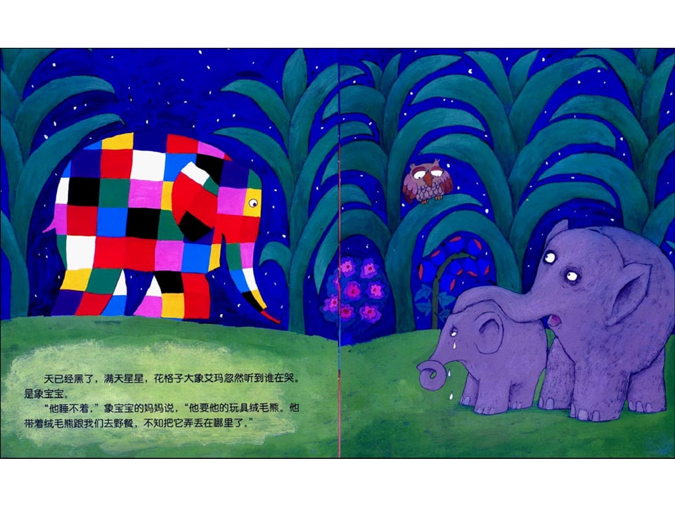 《花格子大象艾玛系列8-艾玛找回绒毛熊》