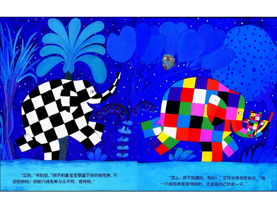 《花格子大象艾玛系列8-艾玛找回绒毛熊》