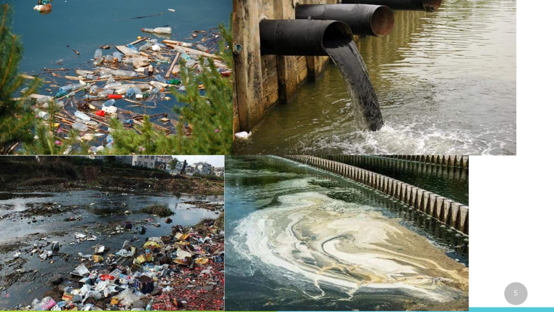 幼儿园大班科学教案：水污染