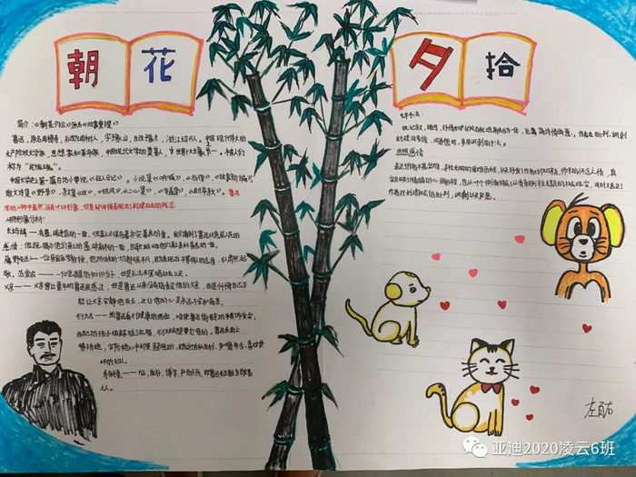 朝花夕拾手抄报图片及内容