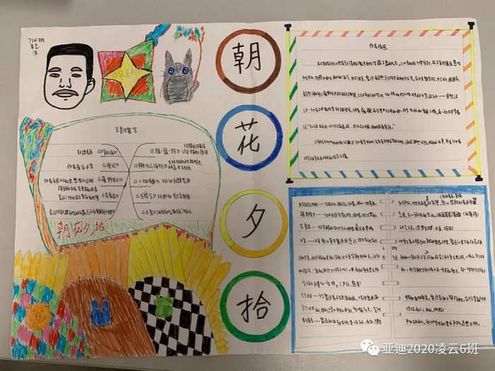 朝花夕拾手抄报图片及内容