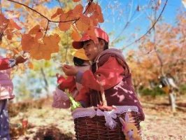 幼儿园中班语言教案《秋天》