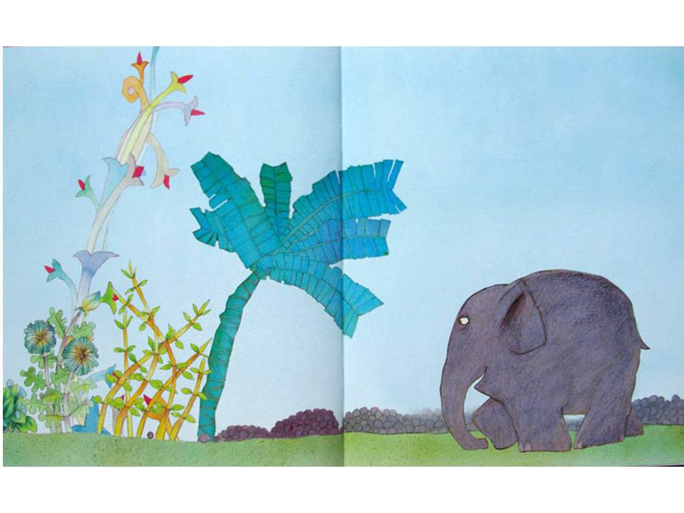 《花格子大象艾玛系列10-花格子大象艾玛》