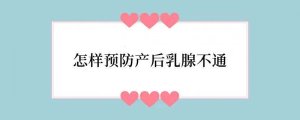 怎样预防产后乳腺不通