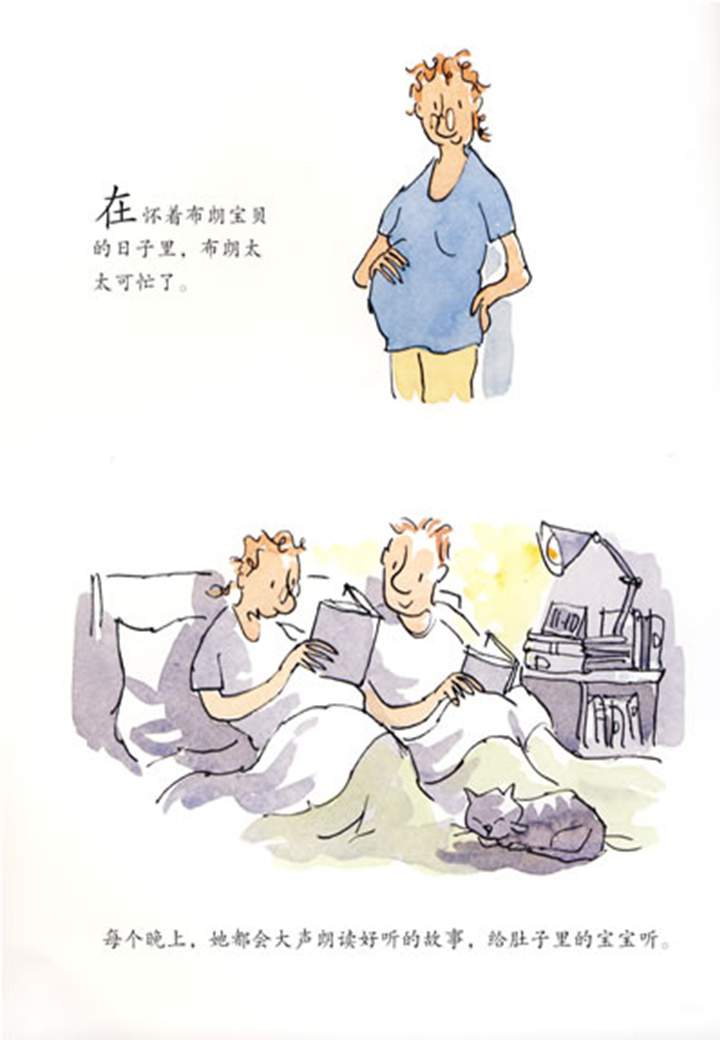 《海豚绘本花园1-布朗家的天才宝宝》