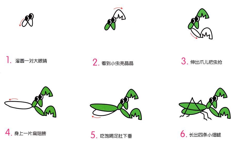 幼儿园动物简笔画教程