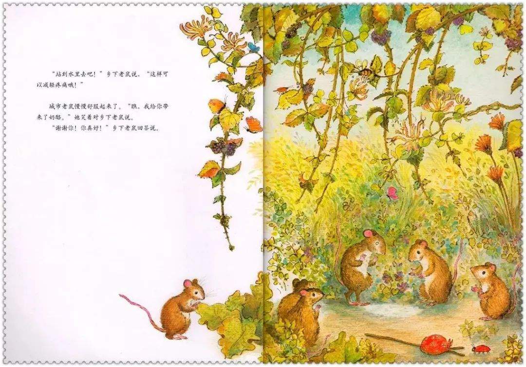 《海豚绘本花园2-城市老鼠和乡下老鼠》