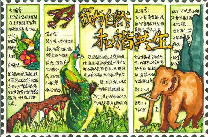 人与自然和谐共生手抄报初中