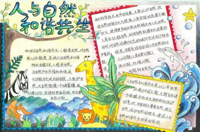 人与自然和谐共生手抄报初中