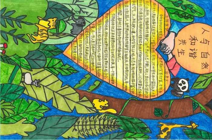 人与自然和谐共生手抄报初中