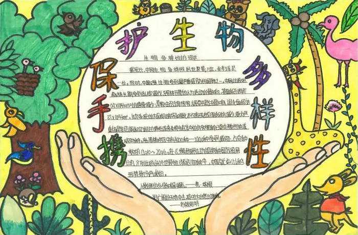 人与自然和谐共生手抄报初中